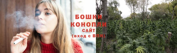 гашик Михайловск