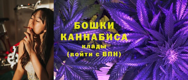 гашик Михайловск