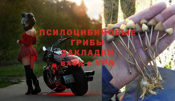 метадон Михайлов