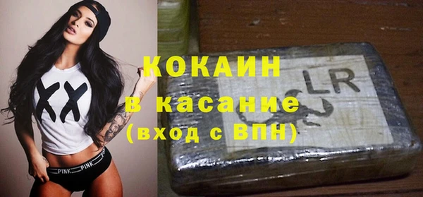 гашик Михайловск
