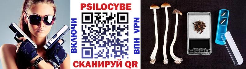 Псилоцибиновые грибы Psilocybine cubensis  Купить закладки  Хадыженск 